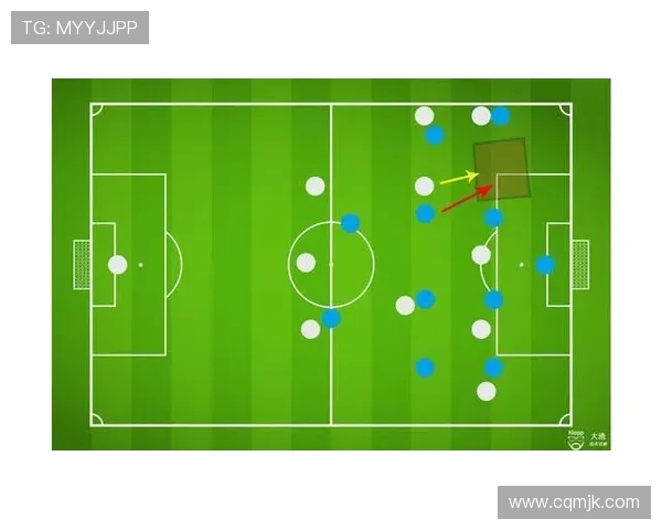 杭州排球队的节奏分析与战术探讨助力球队提升竞技水平