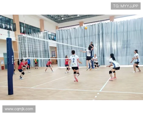 重庆排球队力压群雄创新高实力排名引发关注