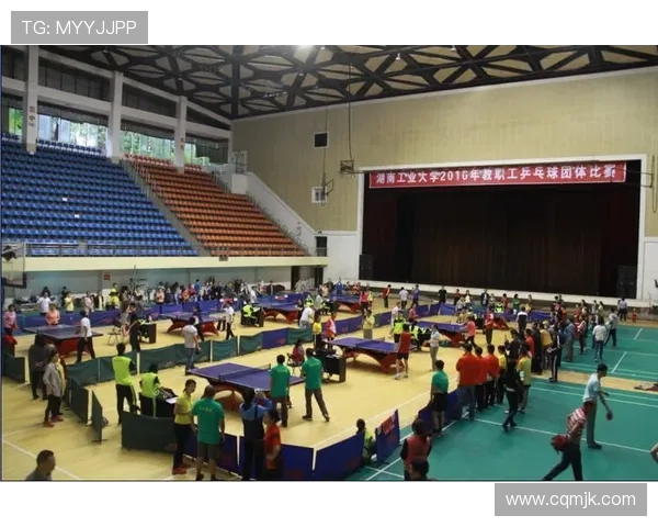 广州乒乓球队的节奏与发展探讨：从训练到比赛的全景分析